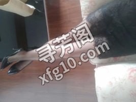 南通熟女 地方 年龄 30岁-40岁 颜值： 6分 400 项目 漫游 无套口 丝足情趣 指滑 调情 姿势 4