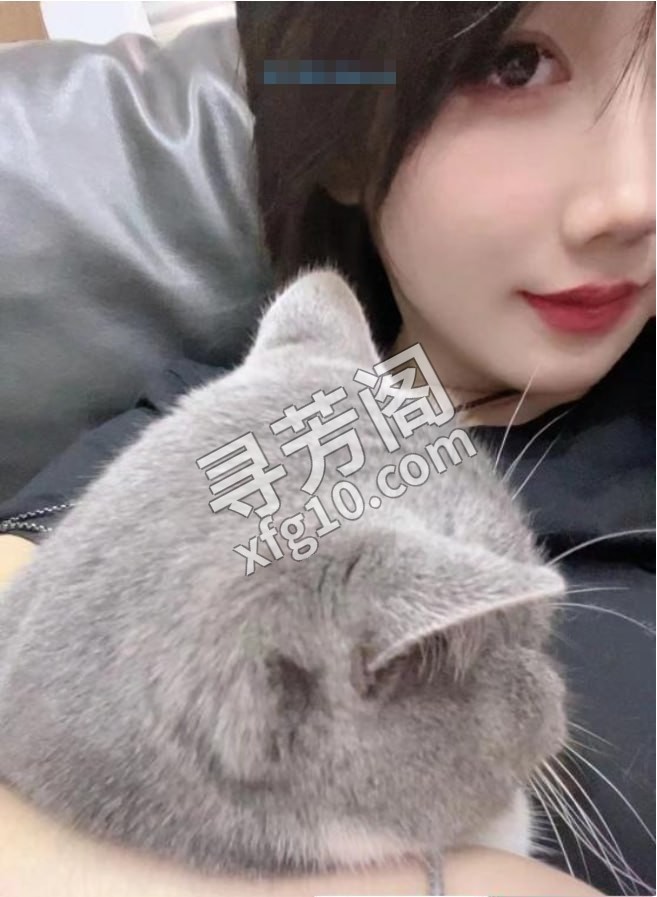 武昌小姐姐 地区 年龄 25岁-30岁 颜值 6分 价格 500 服务 调情 69 口爆 胸推 漫游 2