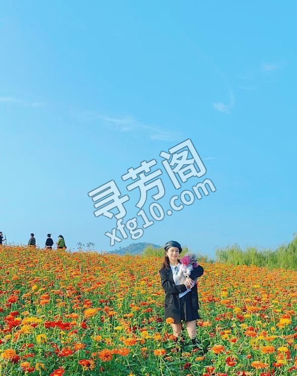 长腿温柔韵味小骚妇 地方 年龄 25岁-30岁 颜值： 6分 400 项目 3