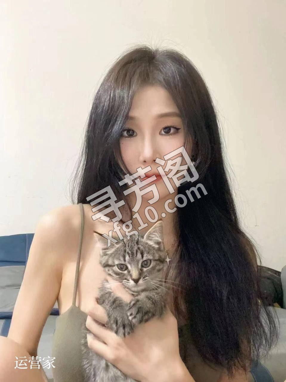 标签： 2000P 品茗1600P 5