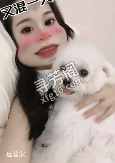 市区服务最好的95厂子 场所地点 亿康足道 服务项目95 总体消费399 这个店我去了很多次，也换了好几个地方 2