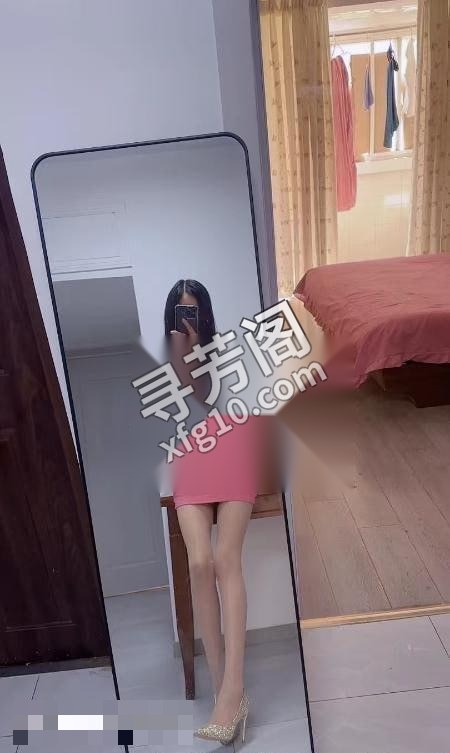 秦淮长腿喵喵 3