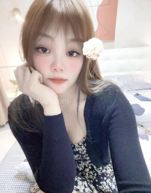 合肥蜀山楼凤 2
