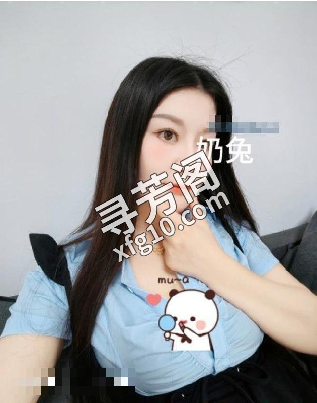 汉口奶兔 3