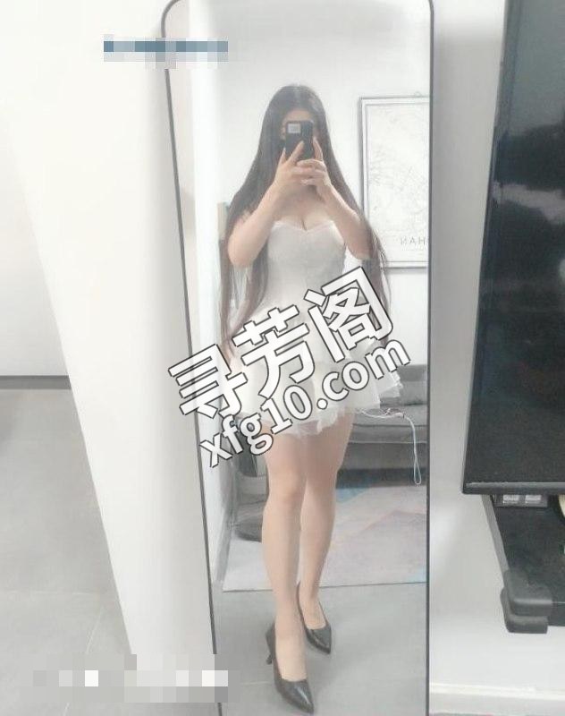 汉口奶兔 2