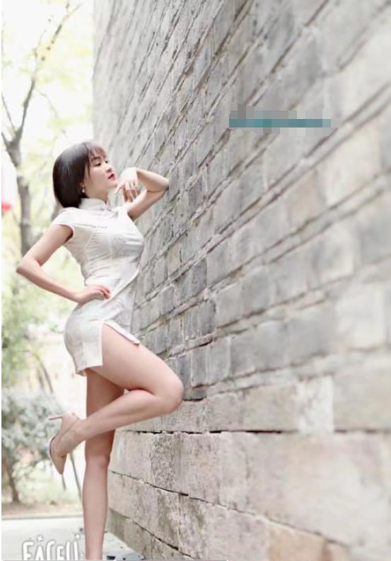 含羞草 3