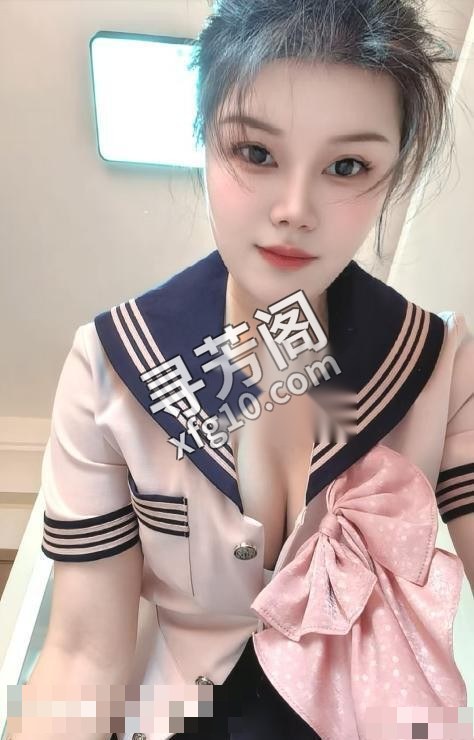 北京朝阳楼凤 3