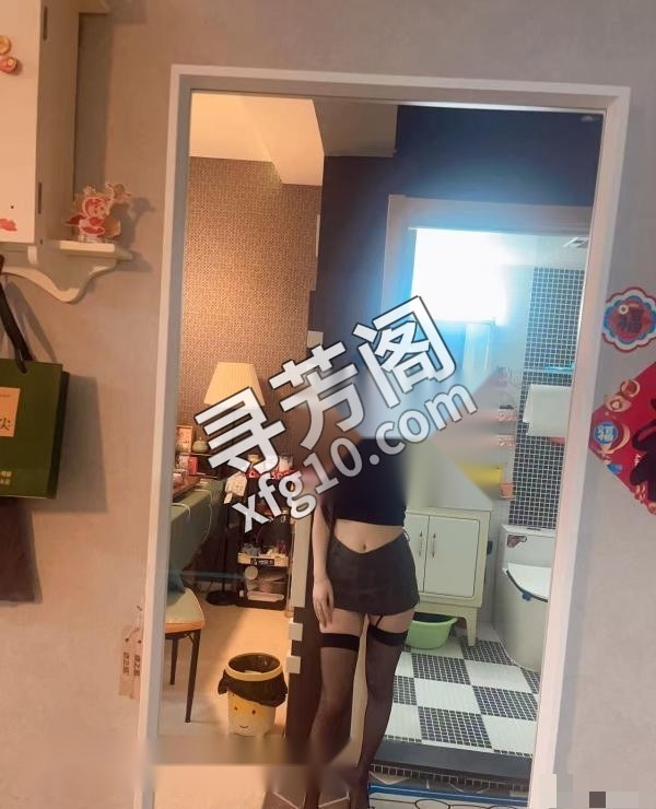 北京朝阳楼凤 3