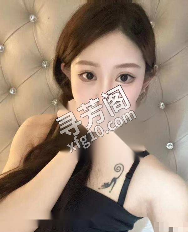 合肥楼凤 2