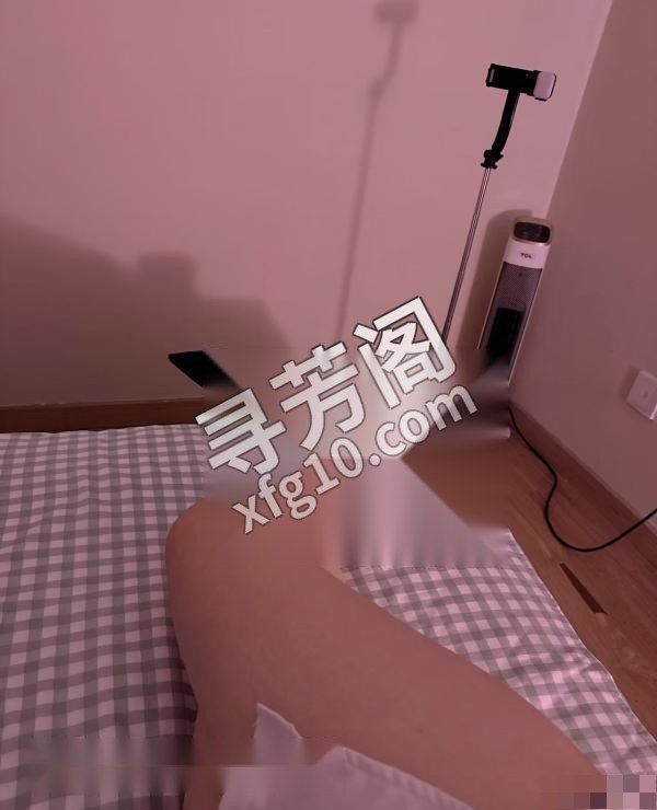 合肥包河楼凤 2