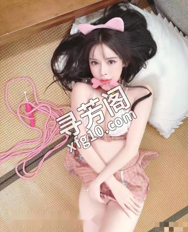 苏州园楼凤 3