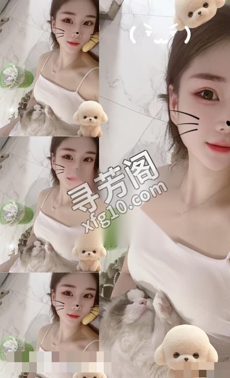 深圳楼凤 3