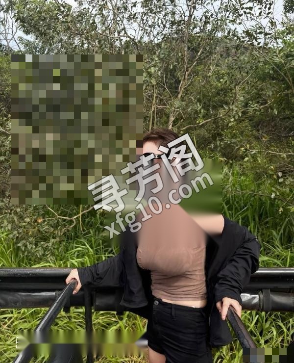 深圳楼凤 3