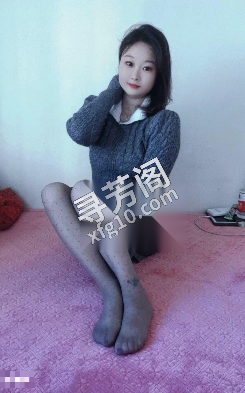 天津滨海新楼凤 2