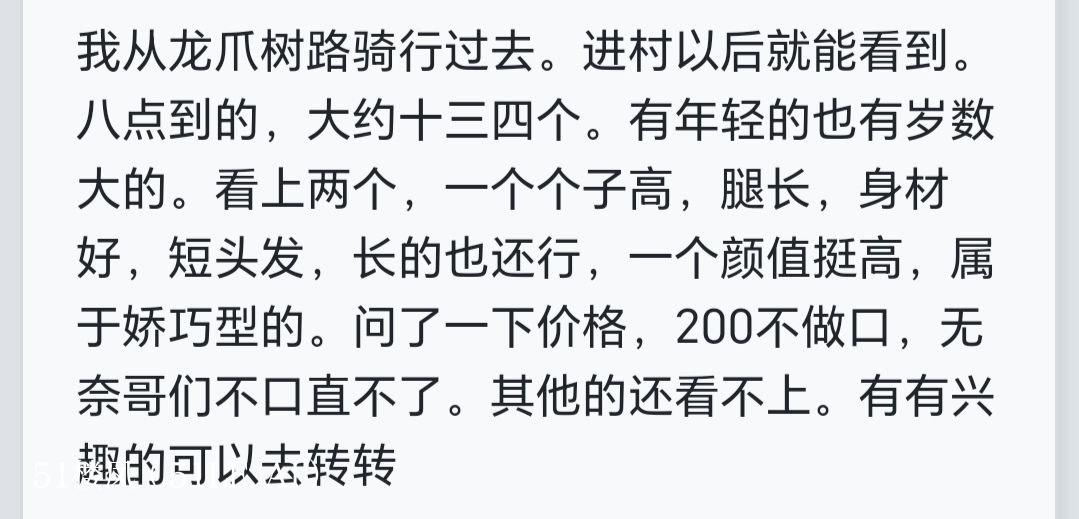 北京朝阳楼凤 3