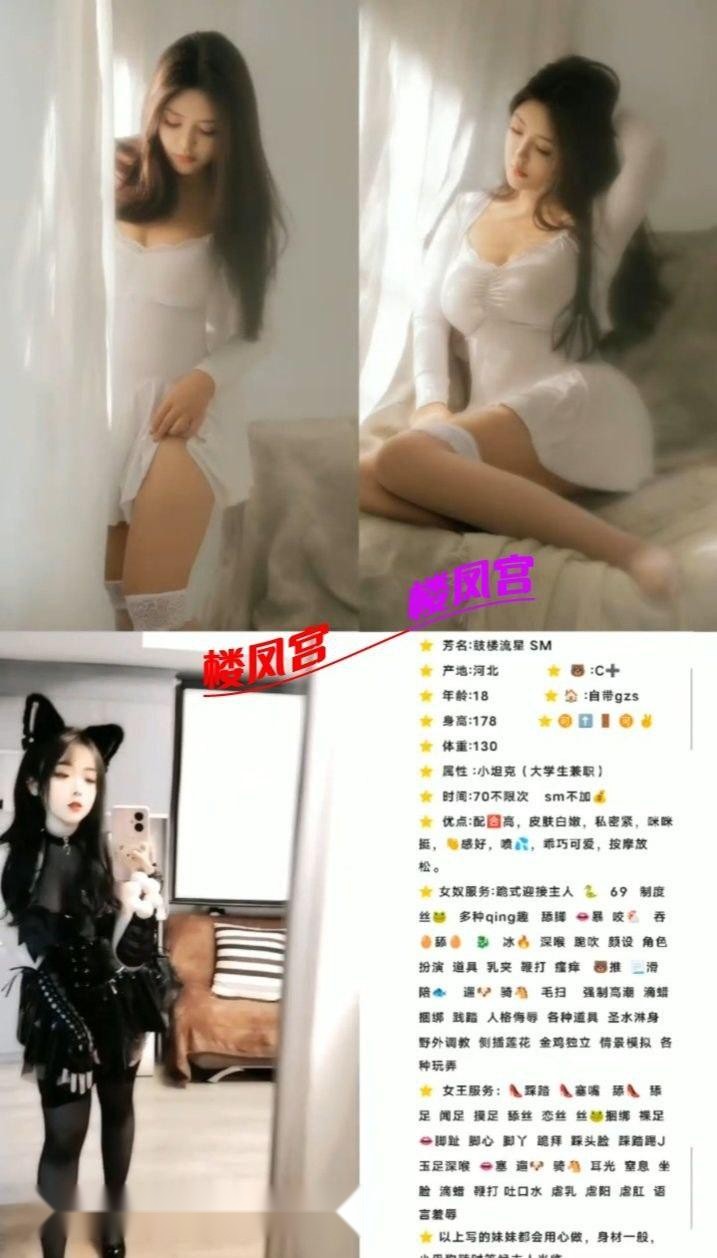 南京鼓楼楼凤 4