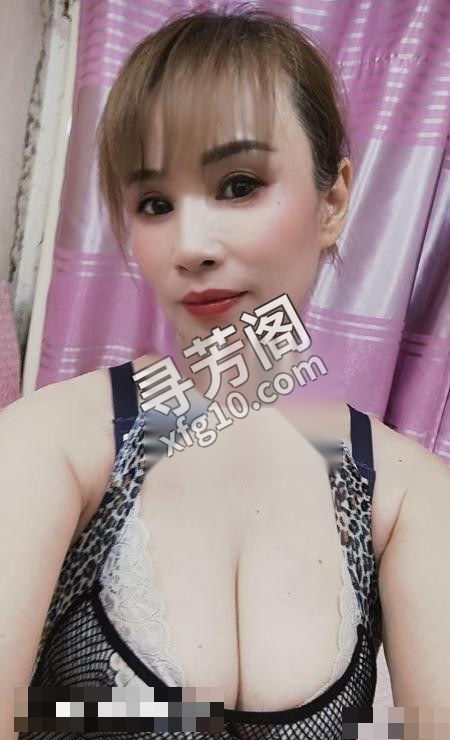 北京朝阳楼凤 3