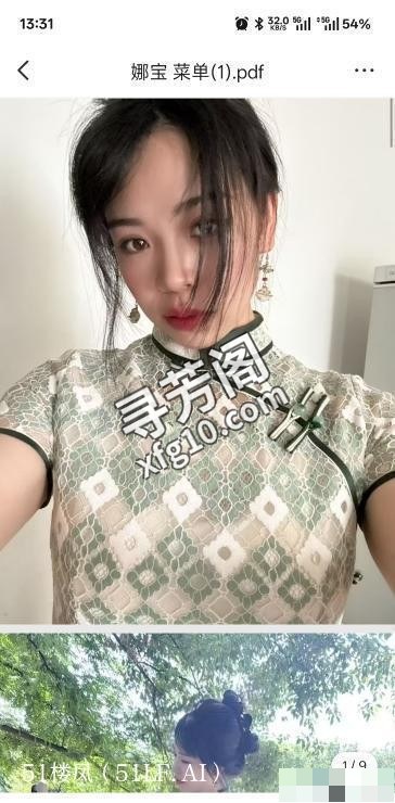 武汉楼凤 2
