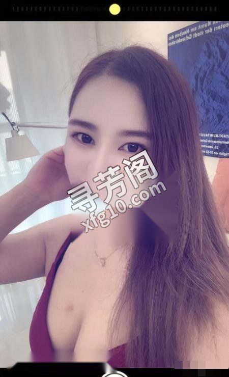 合肥楼凤 4