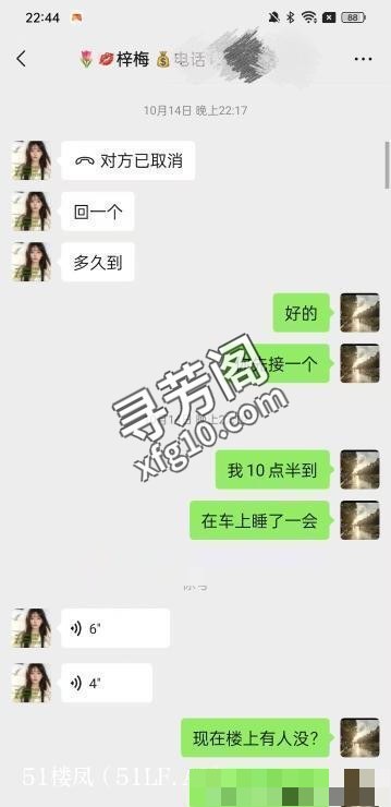 武汉楼凤 3